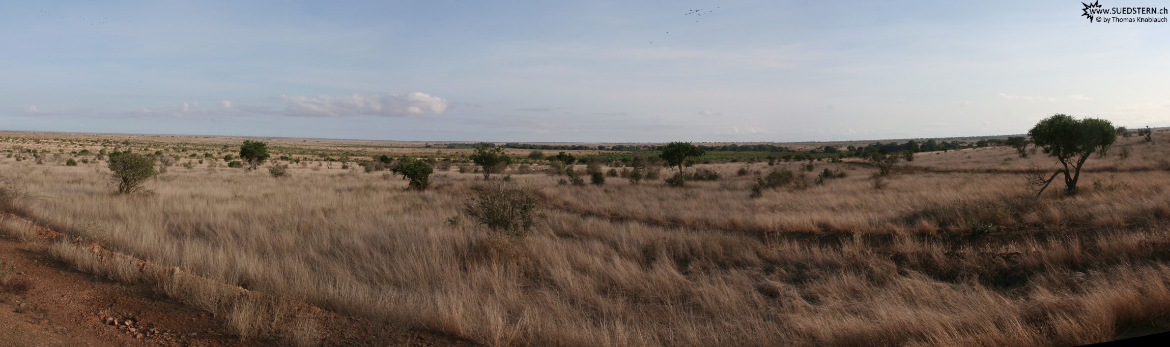 2007-04-10 - Kenya - Tsavo East Panorama